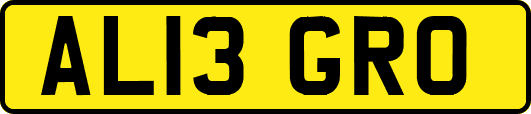 AL13GRO