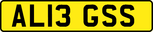 AL13GSS