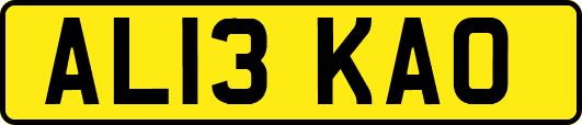AL13KAO