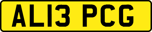 AL13PCG
