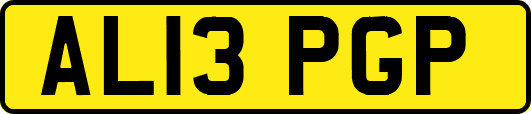 AL13PGP