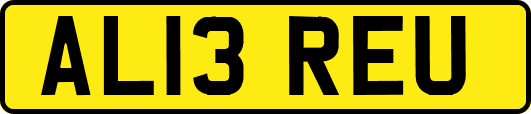 AL13REU