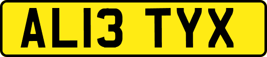 AL13TYX