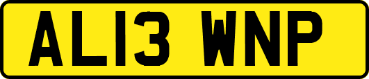 AL13WNP