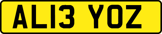 AL13YOZ