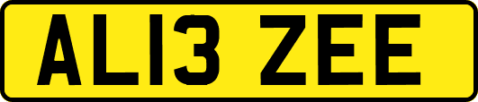 AL13ZEE