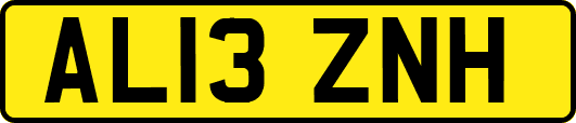 AL13ZNH