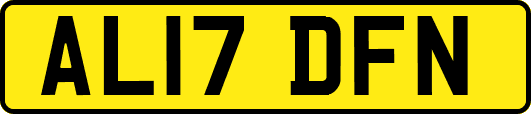 AL17DFN