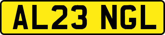 AL23NGL