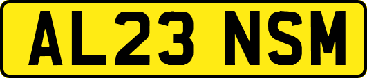 AL23NSM