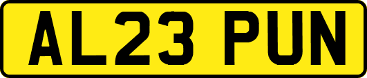 AL23PUN