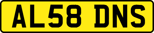 AL58DNS