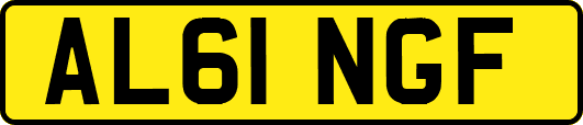 AL61NGF