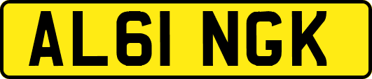 AL61NGK