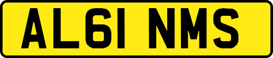 AL61NMS