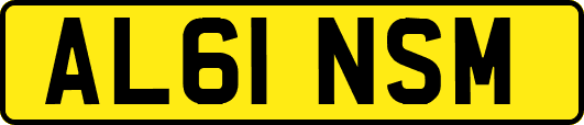AL61NSM
