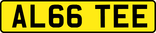 AL66TEE