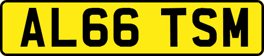 AL66TSM