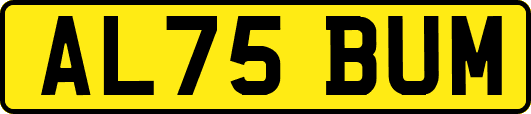 AL75BUM
