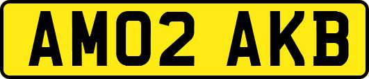 AM02AKB