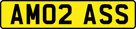 AM02ASS