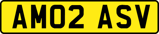 AM02ASV