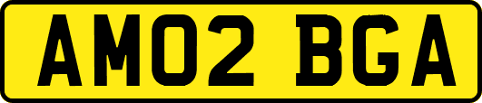AM02BGA
