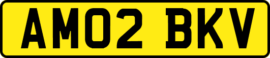 AM02BKV