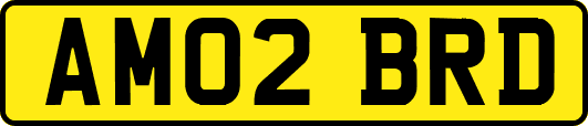 AM02BRD