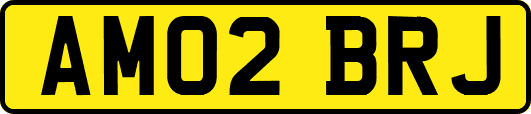 AM02BRJ