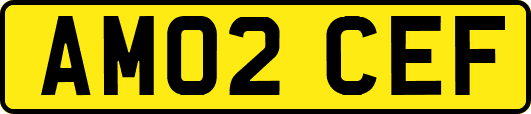 AM02CEF