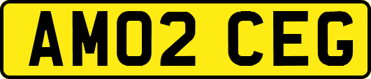 AM02CEG