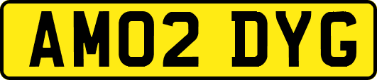AM02DYG
