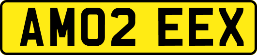 AM02EEX