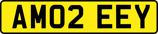 AM02EEY