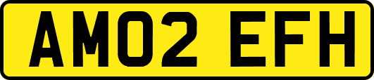 AM02EFH