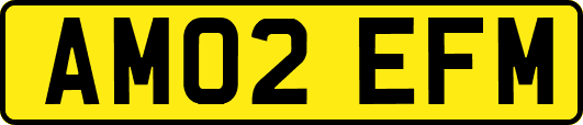 AM02EFM
