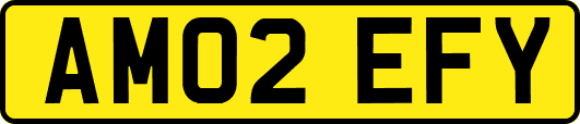 AM02EFY