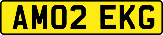 AM02EKG