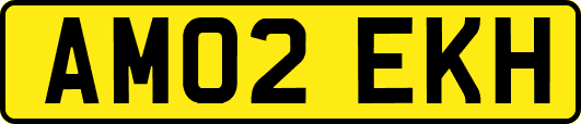 AM02EKH