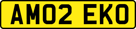 AM02EKO