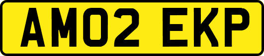 AM02EKP