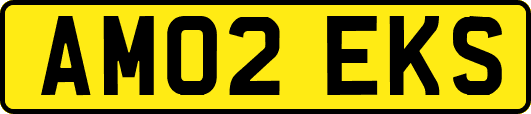 AM02EKS