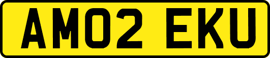 AM02EKU