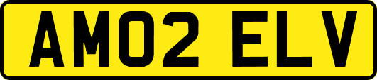 AM02ELV