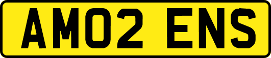 AM02ENS
