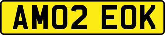 AM02EOK