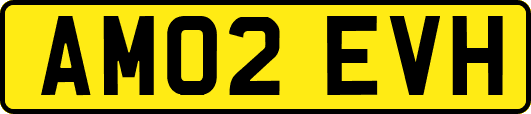 AM02EVH