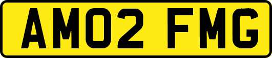 AM02FMG