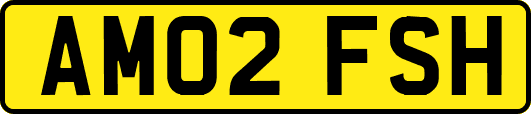 AM02FSH